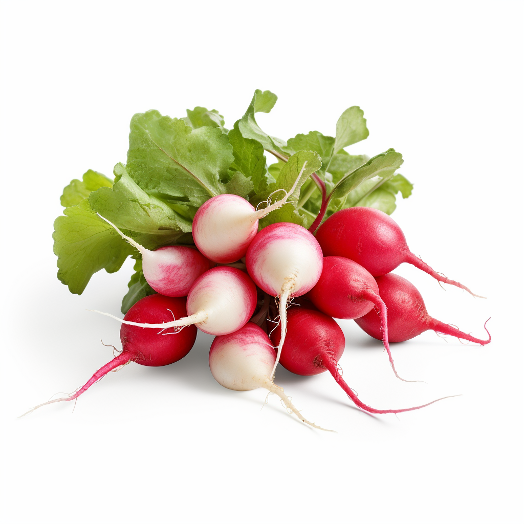 radishes how to grow tomatoes